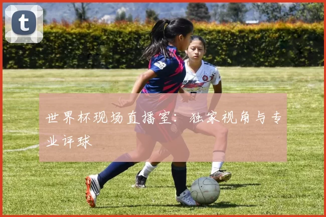 世界杯现场直播室:独家视角与专业评球