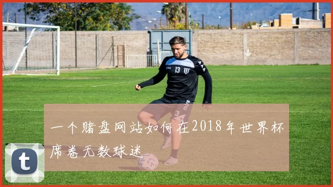一个赌盘网站如何在2018年世界杯席卷无数球迷