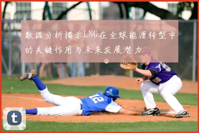 数据分析揭示LNG在全球能源转型中的关键作用与未来发展潜力