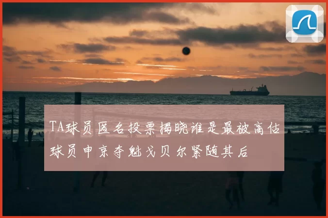 TA球员匿名投票揭晓谁是最被高估球员申京夺魁戈贝尔紧随其后