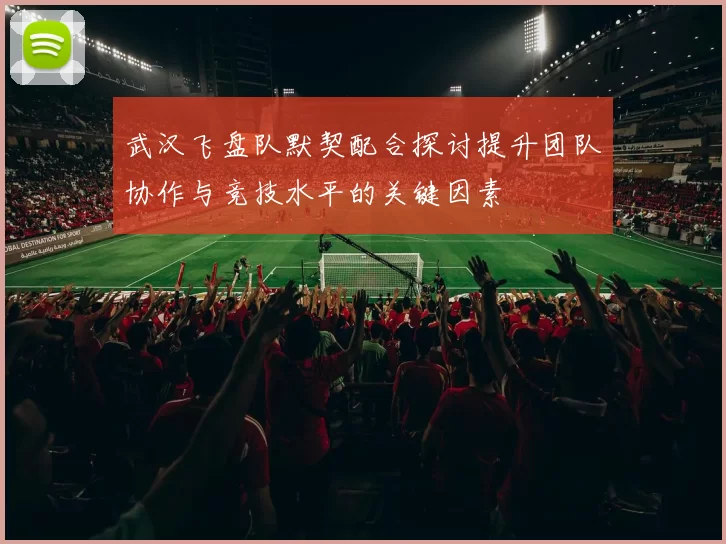 武汉飞盘队默契配合探讨提升团队协作与竞技水平的关键因素