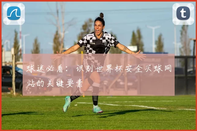 球迷必看:识别世界杯安全买球网站的关键要素