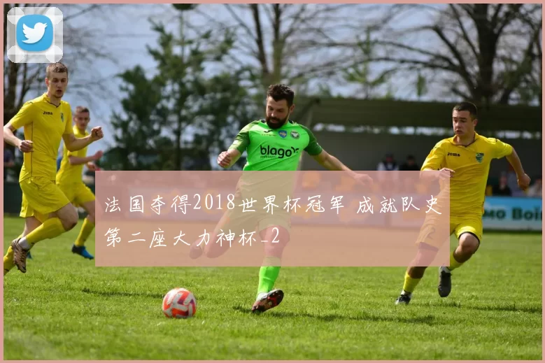 法国夺得2018世界杯冠军 成就队史第二座大力神杯_2