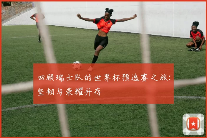 回顾瑞士队的世界杯预选赛之旅：坚韧与荣耀并存