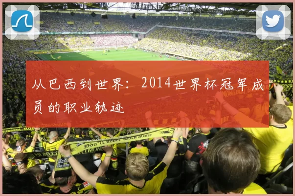 从巴西到世界:2014世界杯冠军成员的职业轨迹
