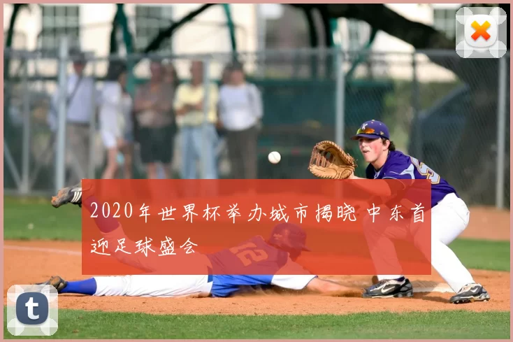 2020年世界杯举办城市揭晓 中东首迎足球盛会