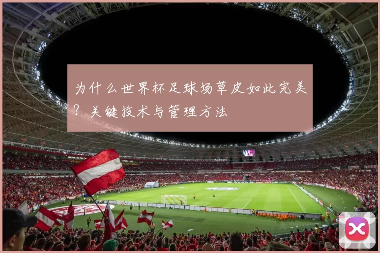 为什么世界杯足球场草皮如此完美？关键技术与管理方法