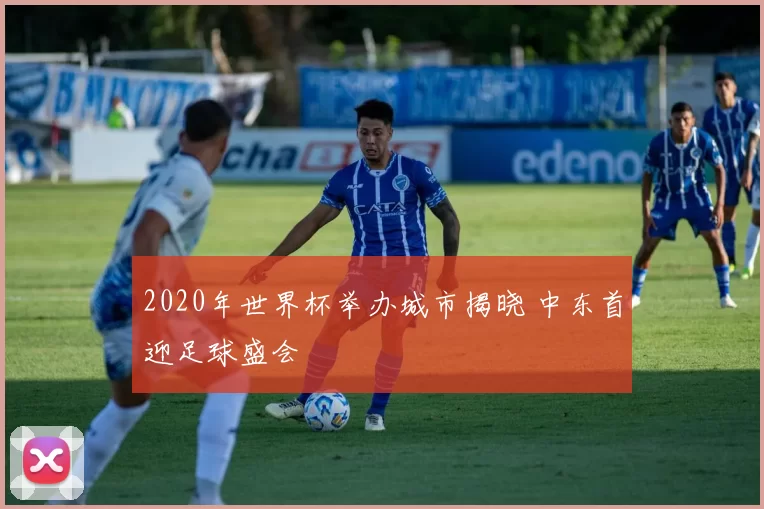 2020年世界杯举办城市揭晓 中东首迎足球盛会