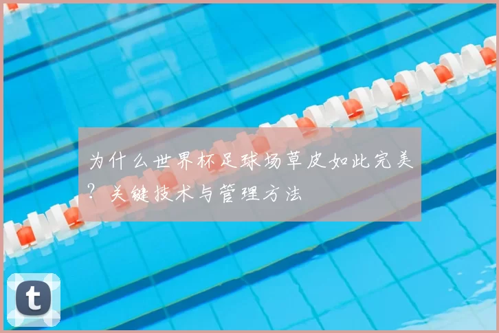 为什么世界杯足球场草皮如此完美？关键技术与管理方法