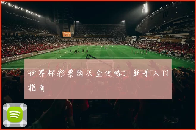 世界杯彩票购买全攻略:新手入门指南