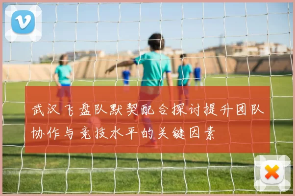 武汉飞盘队默契配合探讨提升团队协作与竞技水平的关键因素