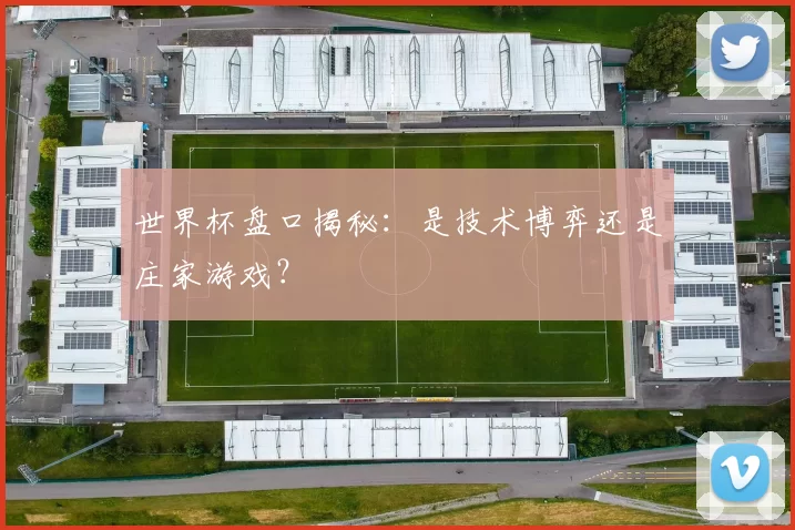 世界杯盘口揭秘：是技术博弈还是庄家游戏？