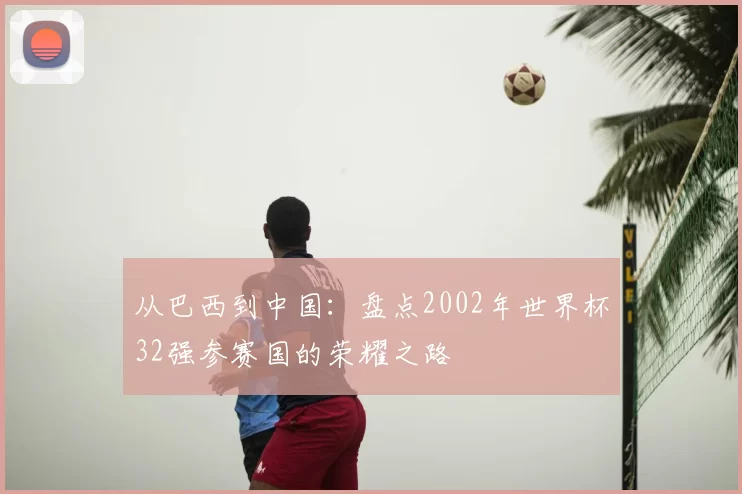 从巴西到中国:盘点2002年世界杯32强参赛国的荣耀之路
