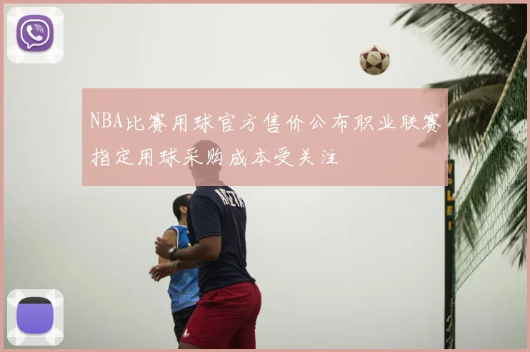 NBA比赛用球官方售价公布职业联赛指定用球采购成本受关注