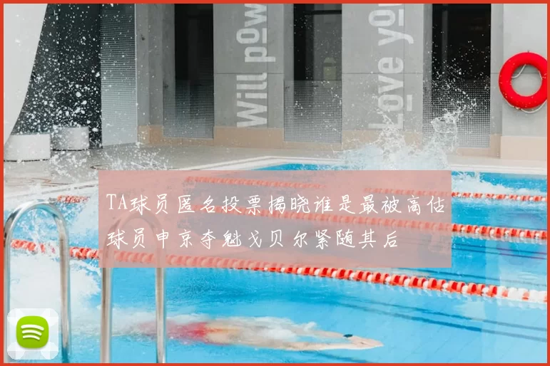 TA球员匿名投票揭晓谁是最被高估球员申京夺魁戈贝尔紧随其后