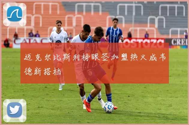 迈克尔比斯利榜眼签加盟热火成韦德新搭档