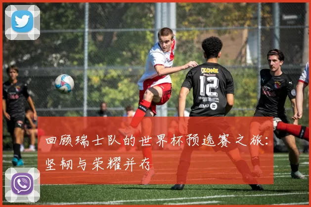 回顾瑞士队的世界杯预选赛之旅：坚韧与荣耀并存