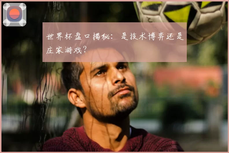 世界杯盘口揭秘：是技术博弈还是庄家游戏？