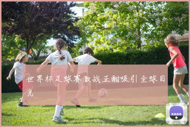 世界杯足球赛激战正酣吸引全球目光